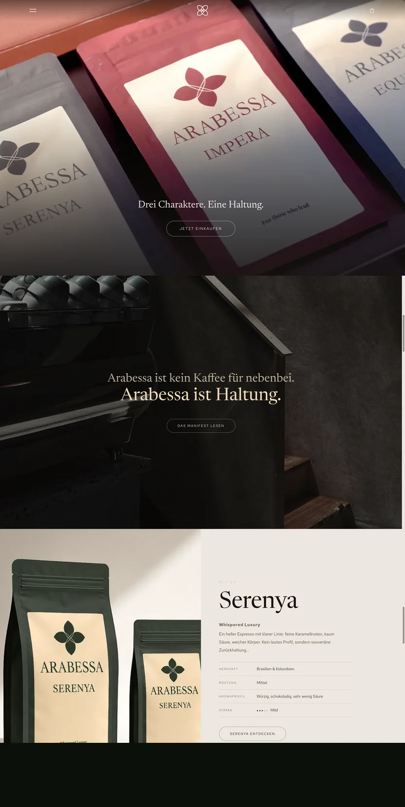 Website arabessa.de